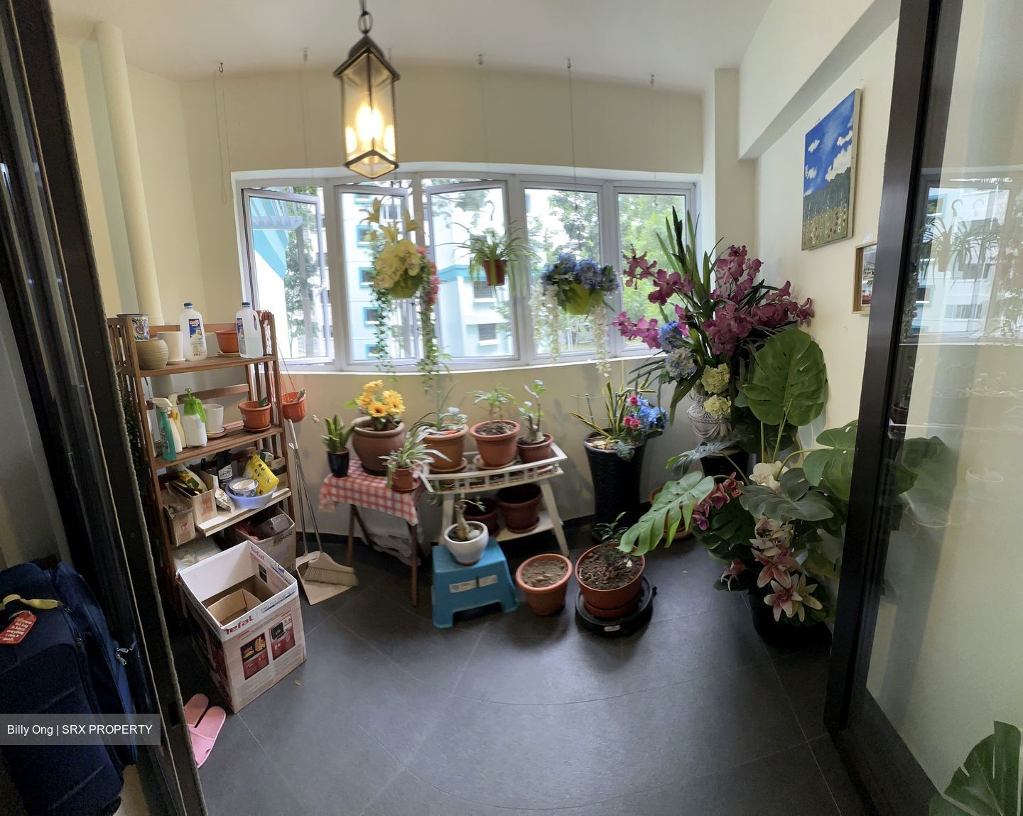 Blk 250C Compassvale Haven (Sengkang), HDB Executive #441388161